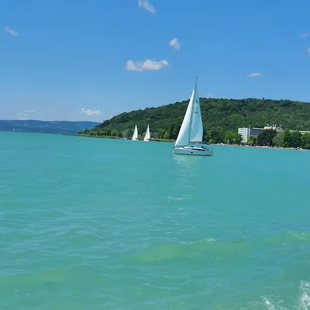 Rozsa Альшоэрш