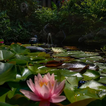 Rozsa Апартаменты *