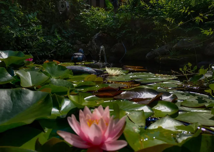 Rózsa Apartamento *